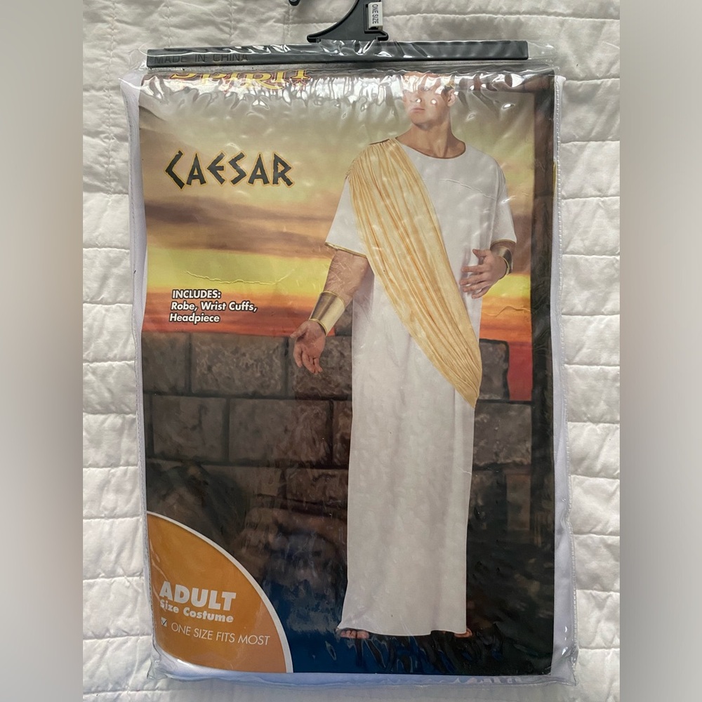 Spirit Caesar Costume